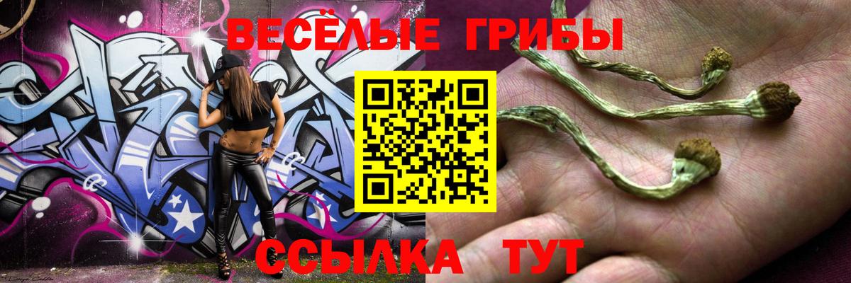 Коркино  Псилоцибиновые грибы прущие грибы  Вход с VPN 