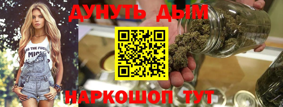 Конопля сатива Коркино